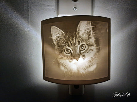 Cat, Kitten, Lithophane Night Light, Mothers day, Father’s Day, Gift For Cat Lover, Gift for Him, Gift for Her
