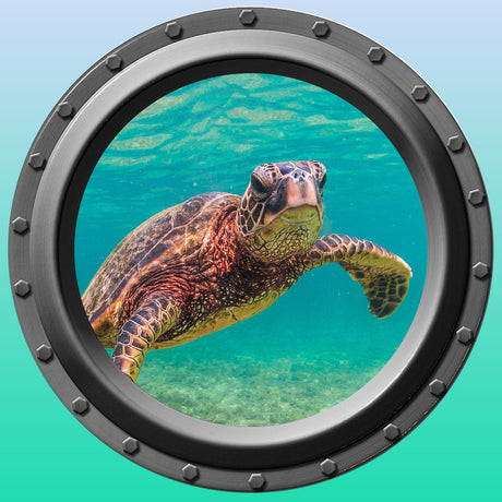 Reusable Sea Turtle 2 Porthole Wall Vinyl Fabric High Quality