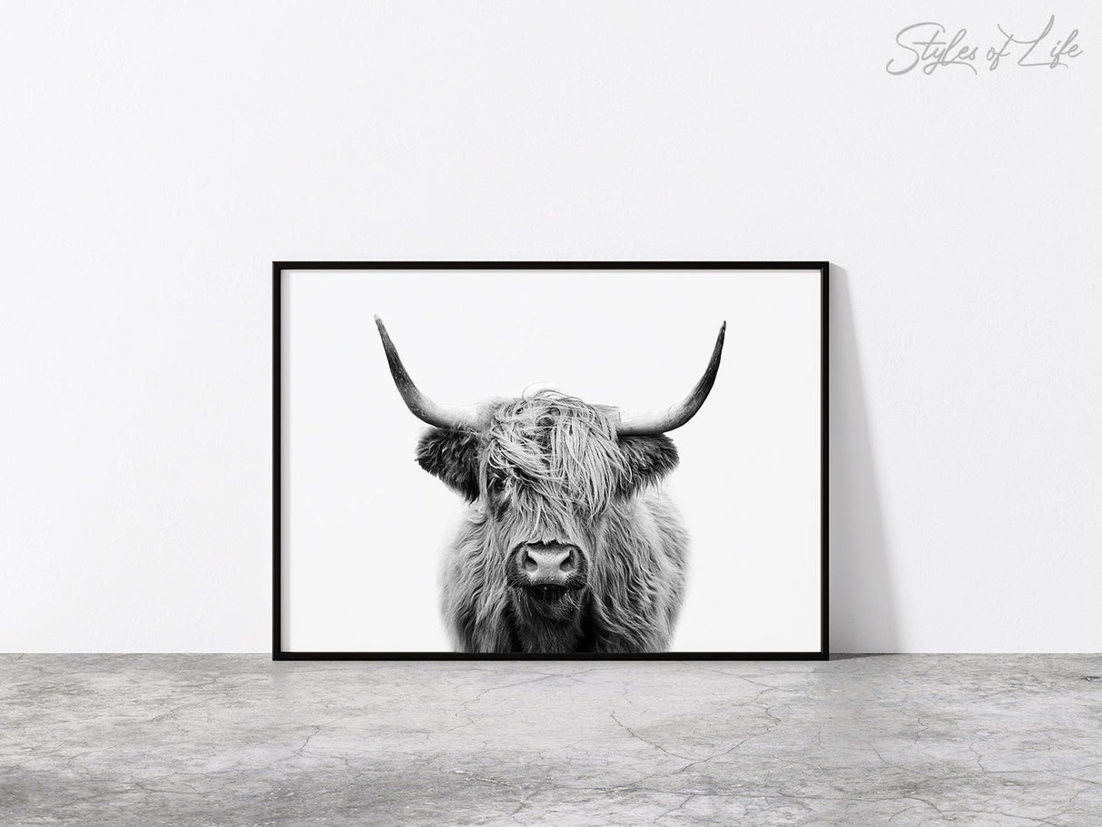 Highland Cow Print, Livingroom Art, Farmhouse Wall Decor, Poster